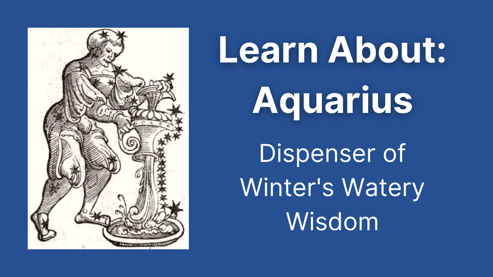 Learn About Aquarius in Astrology